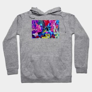 Colors of ephemeral art IX / Swiss Artwork Photography Hoodie